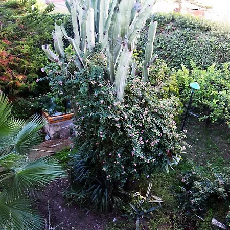 Artroom Garden Noto Exterior photo