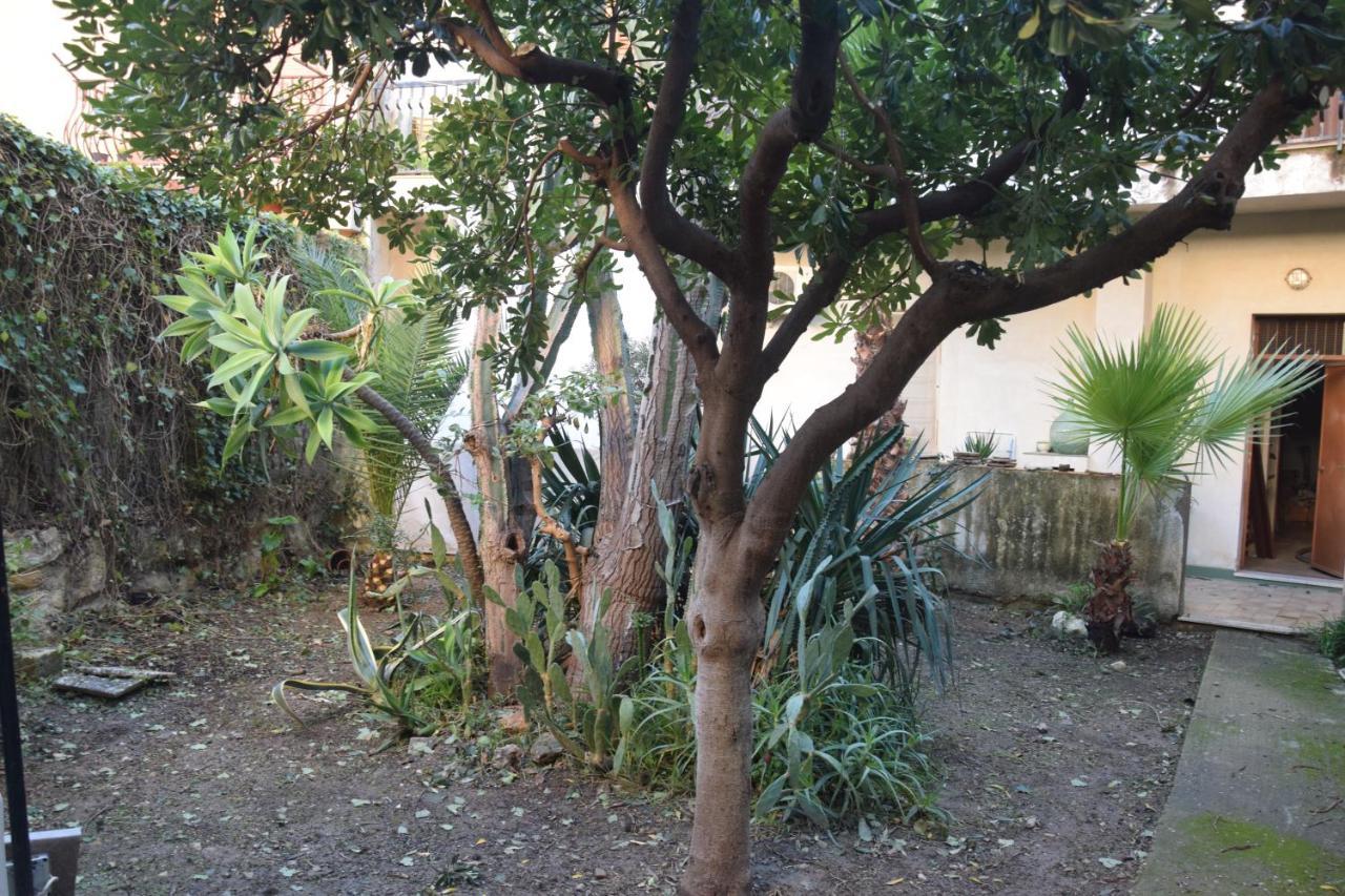Apartment Artroom Garden