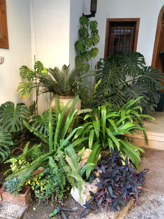 Apartment Artroom Garden