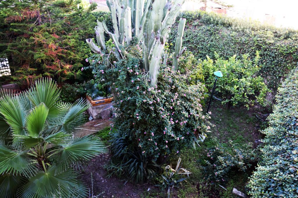 Artroom Garden * Noto