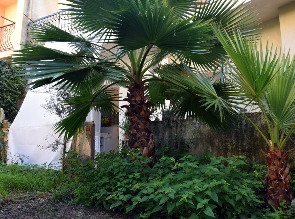 Artroom Garden